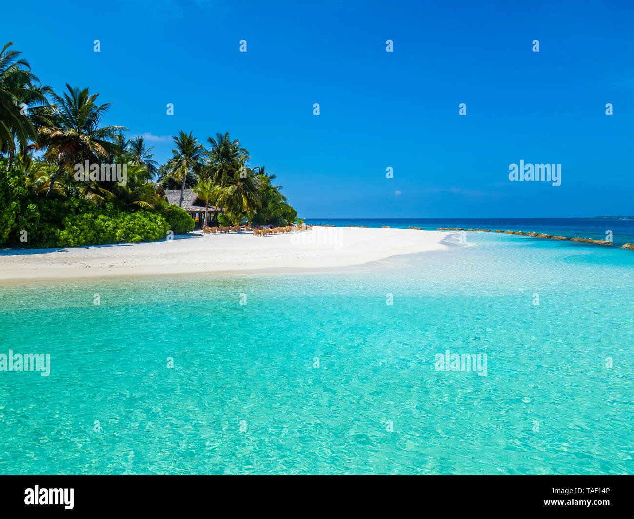 Malediven, Ross Atoll, Strandbar und Sandstrand mit Palmen Stockfoto