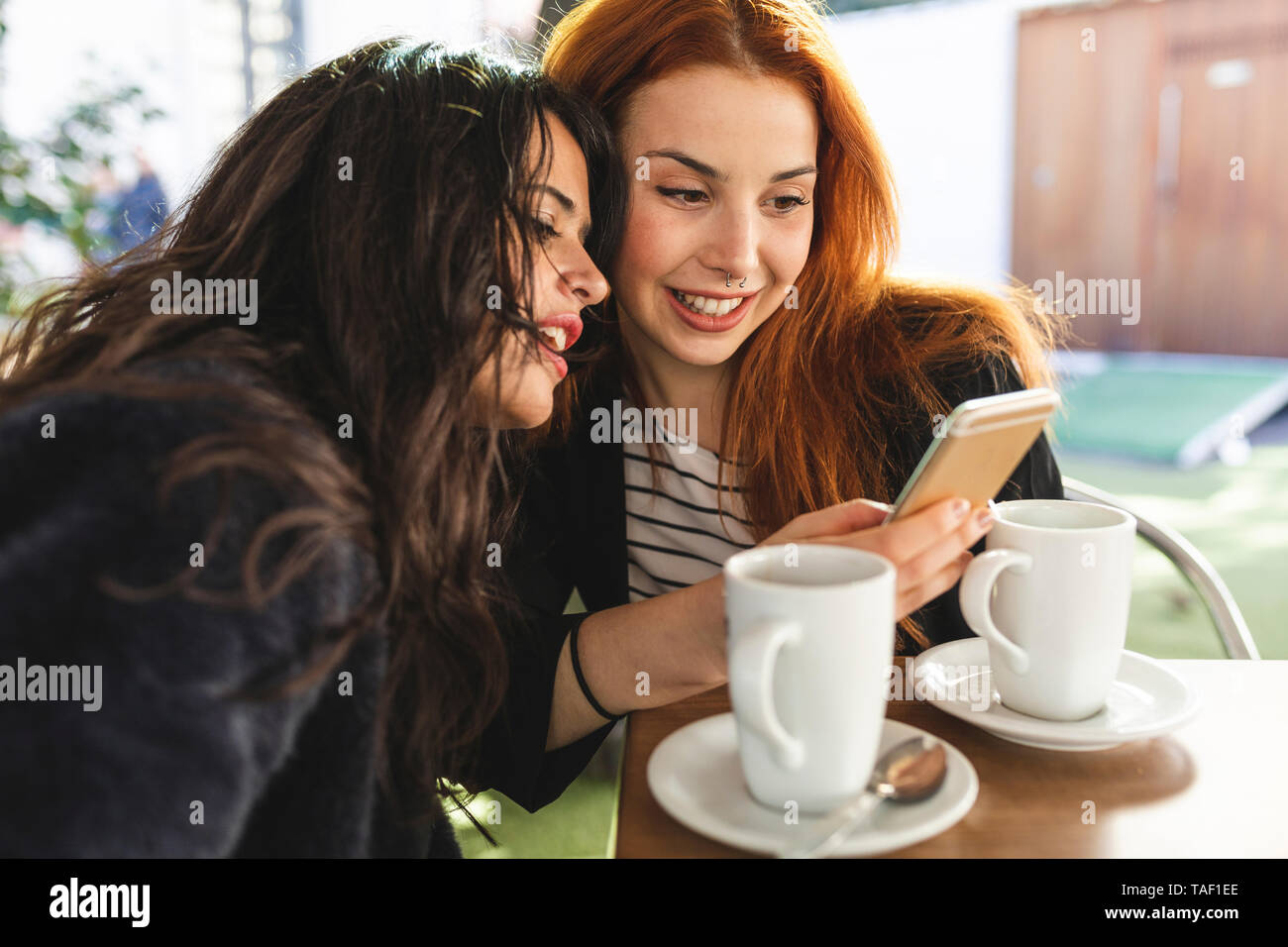 Zwei Frauen Lookig am Handy, Cafe Stockfoto