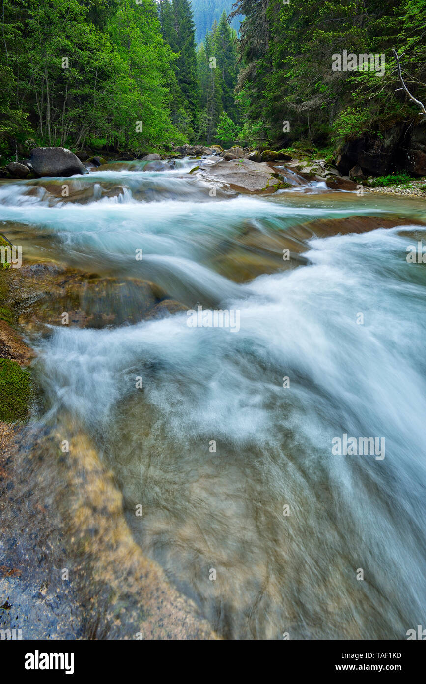 Italien, Trentino, Travignolo Fluss, Parco Naturale Paneveggio Pale di San Martino, Val di Fiemme Stockfoto