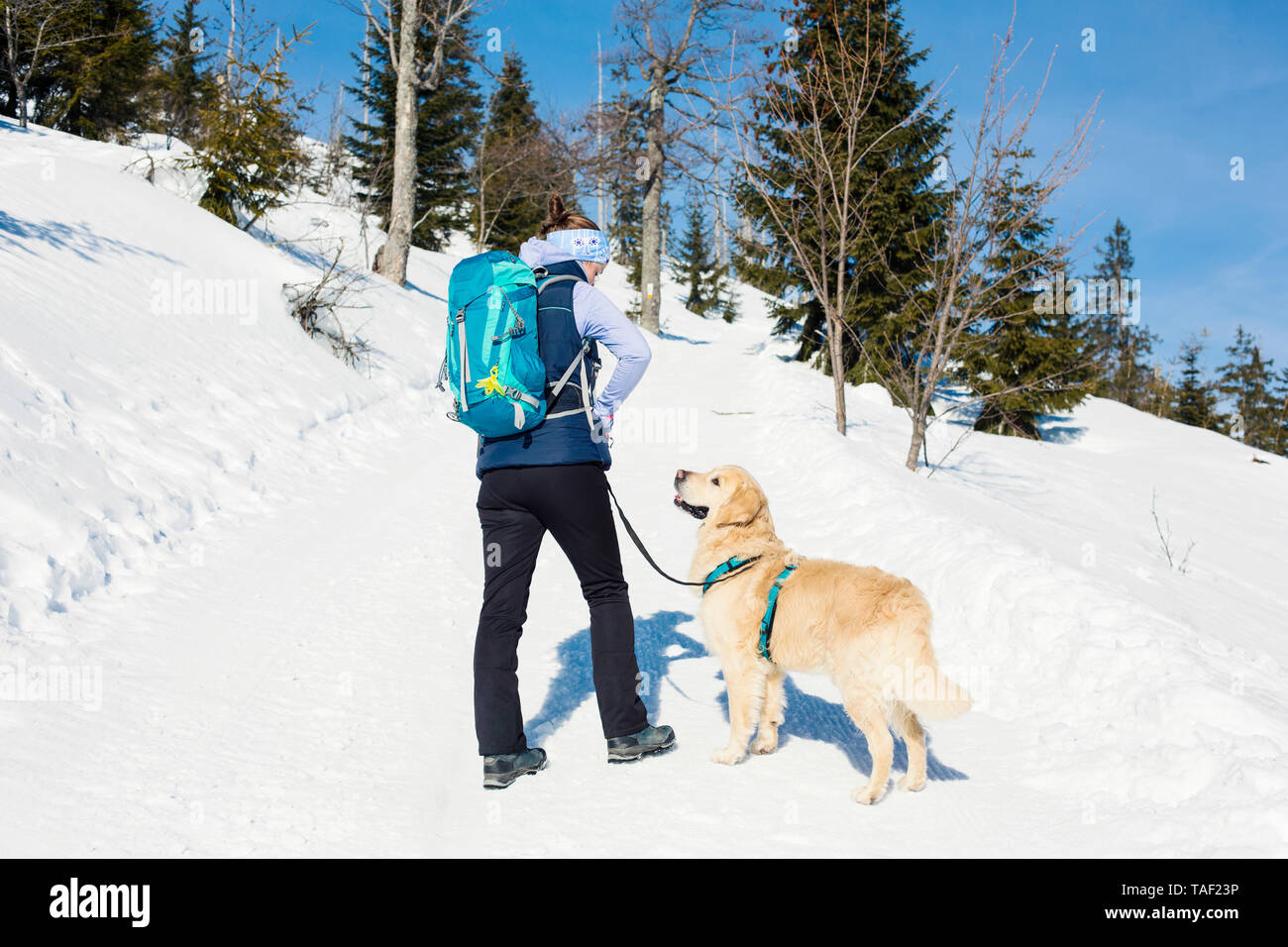 Deutschland, Bayerischer Wald, Lusen, Frau mit Hund wandern im Winter Stockfoto