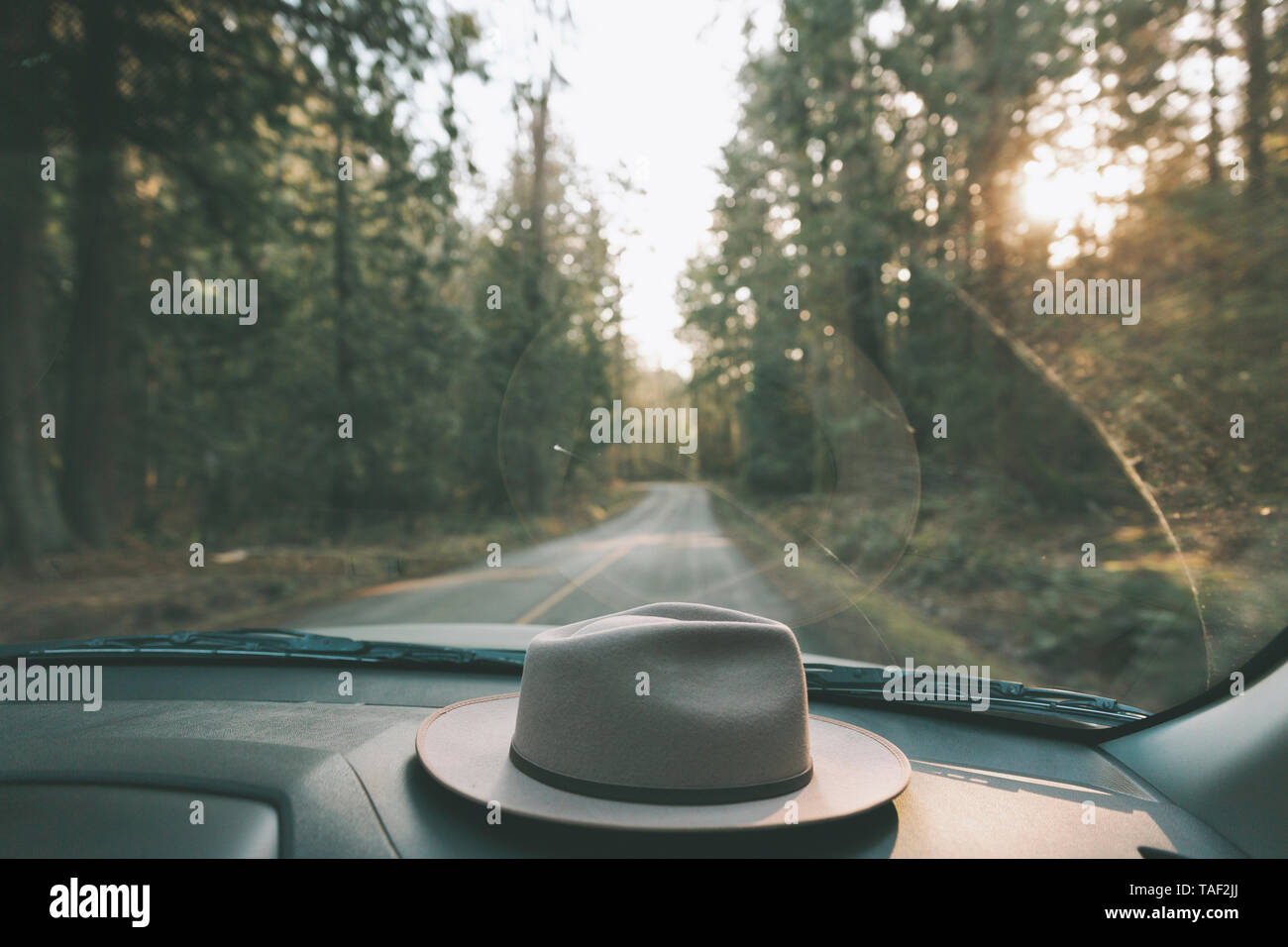 Auto fahren durch Wald mit Hut auf dem Armaturenbrett Stockfoto