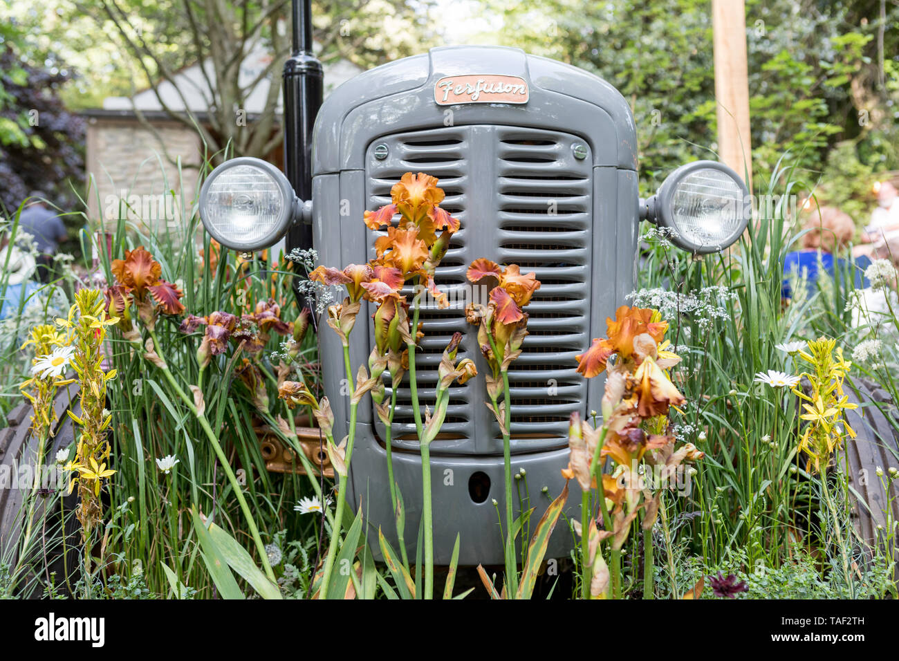 Chelsea Traktor Stockfotos Und Bilder Kaufen Alamy