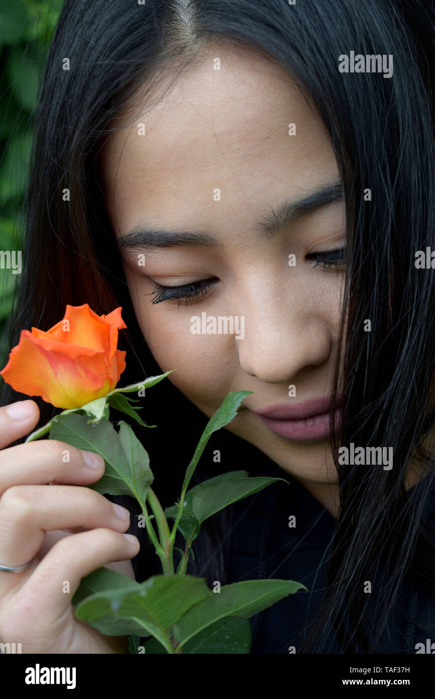 Porträt einer schönen Frau, der asiatischen Aussehen mit einer Blume orange Rose Stockfoto