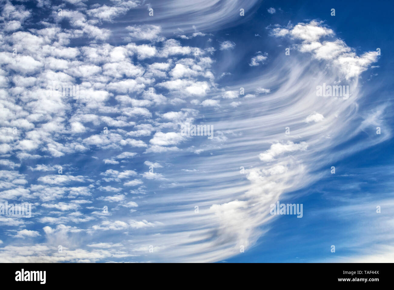 Cirrus und Ankündigung einer warmfront. Cirrus ist eine Art von Cloud