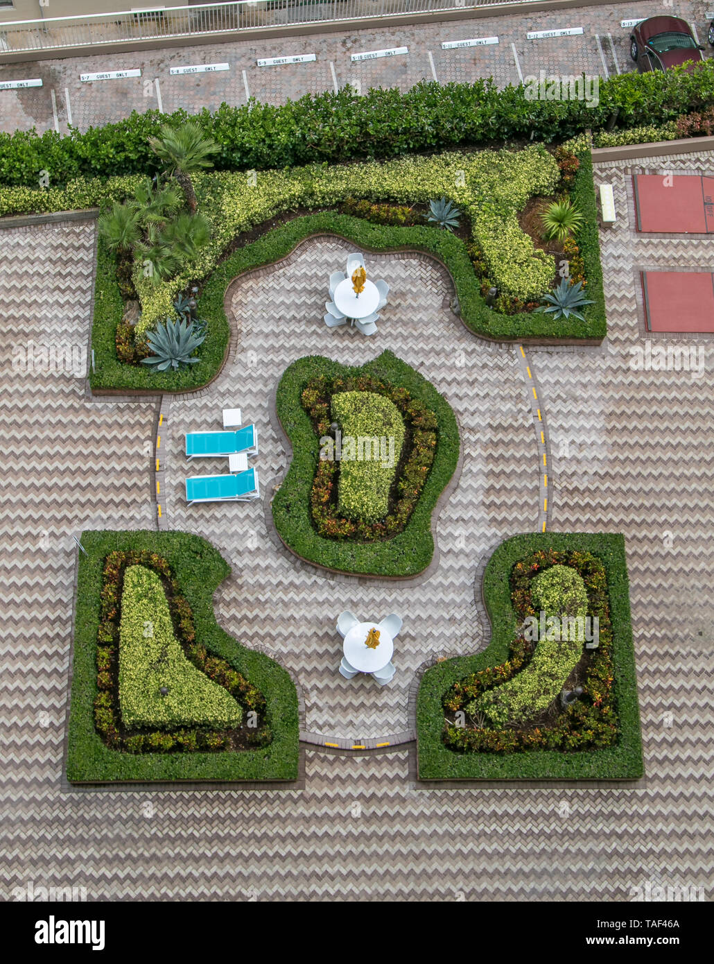 Luftaufnahme von geordneten landscapting auf einen Pool Deck eines Hochhauses. Stockfoto