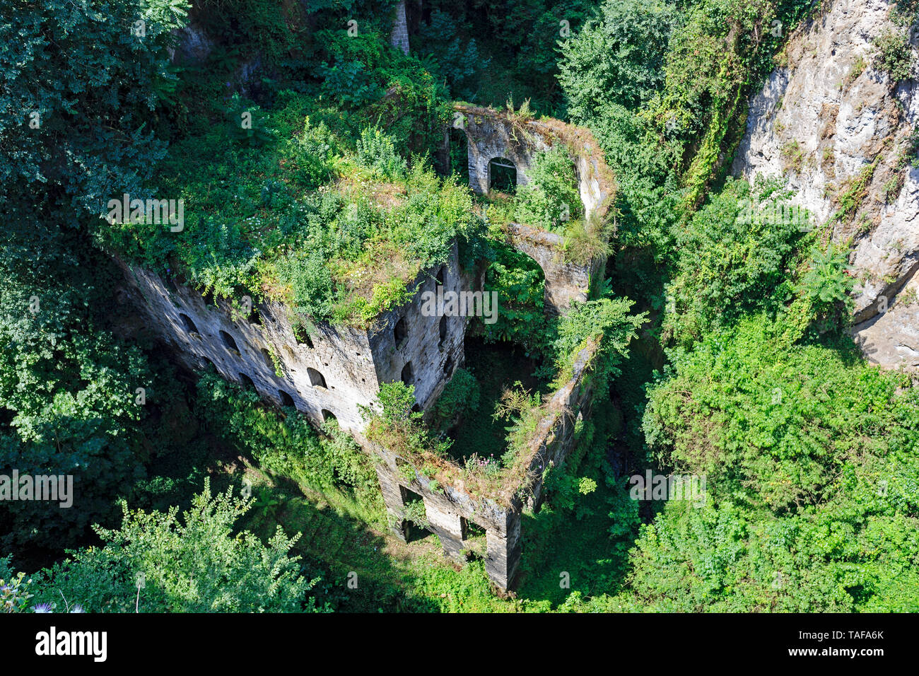 Die Natur gewinnt die Mühlen Vallum in Sorrento, Italien Stockfoto