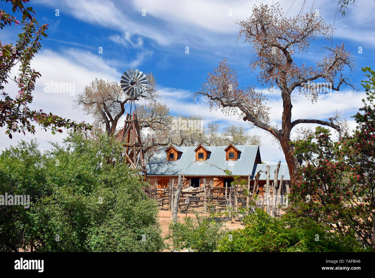 Vintage rustikales Bauernhaus Scheune Stockfoto