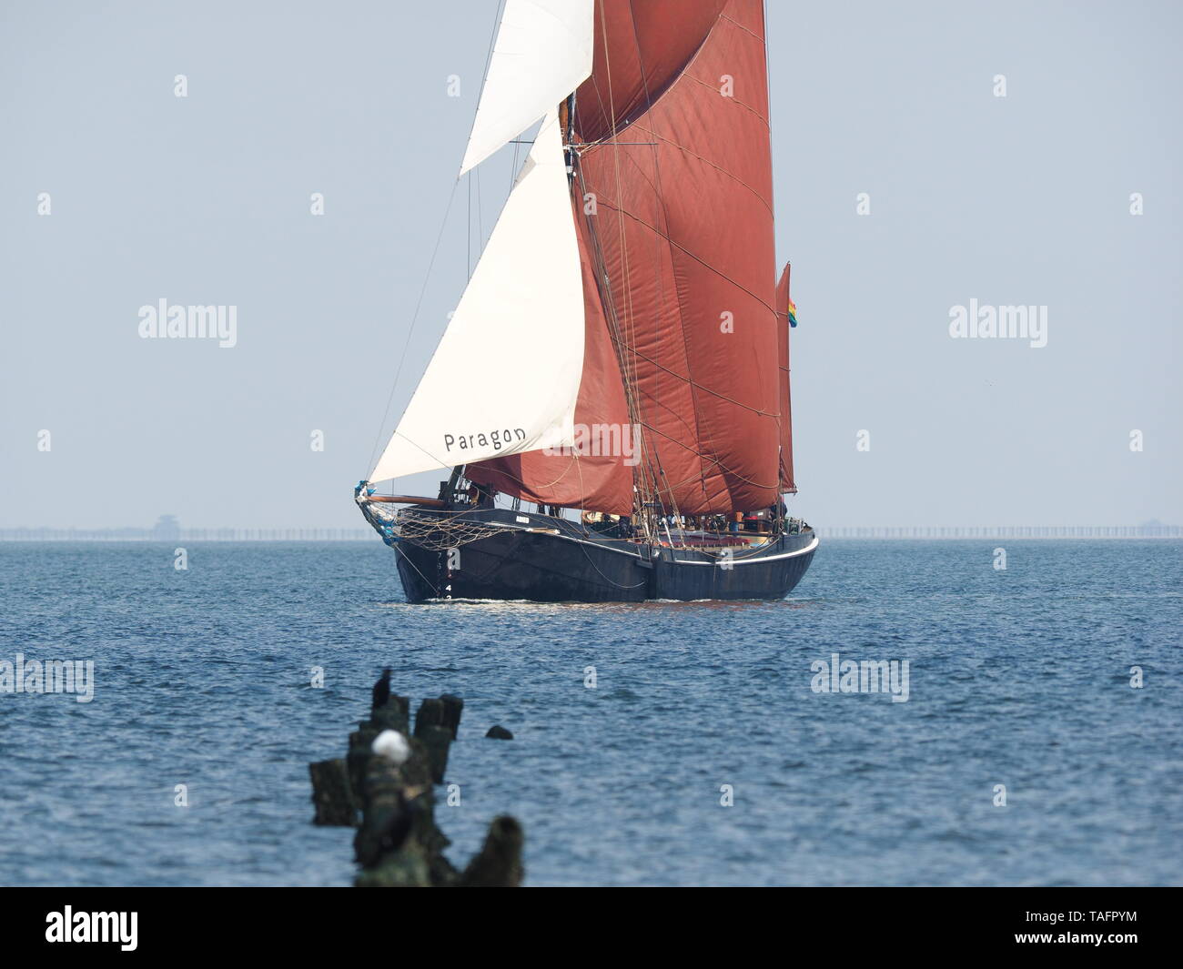 Sheerness, Kent, Großbritannien. 25 Mai, 2019. Fotos von der 111./2019 Medway Barge Segeln übereinstimmen. Im Bild: Adieu. Credit: James Bell/Alamy leben Nachrichten Stockfoto