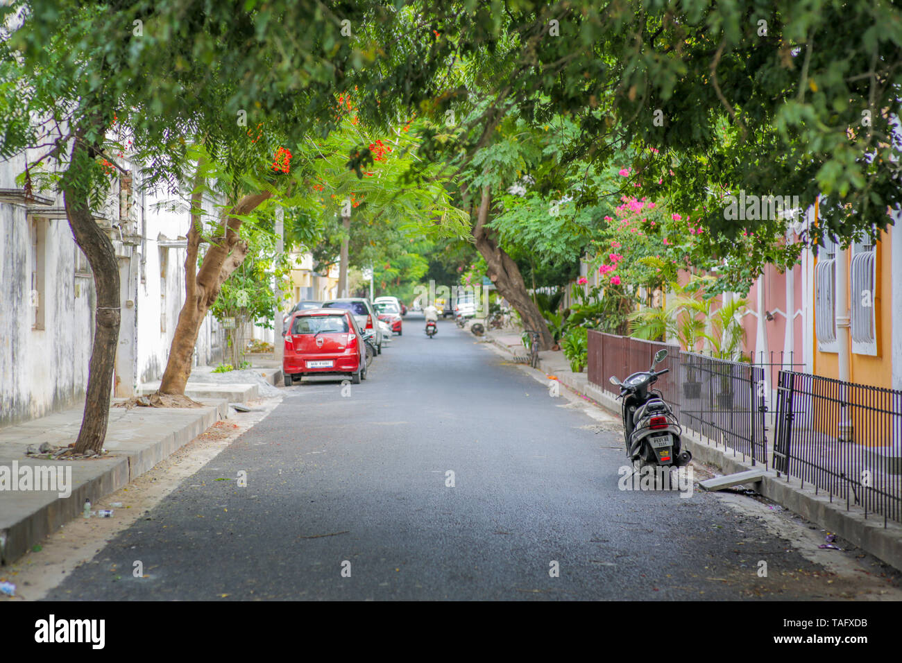 Eine ruhige Straße in der Innenstadt von Pondicherry an einem Sommernachmittag Stockfoto