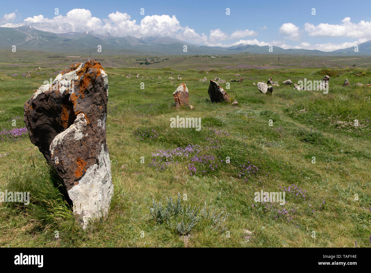 Monolithen in der Steppe, Korat's Karer Historical Reserve, Karahunj, Armenien. Stockfoto