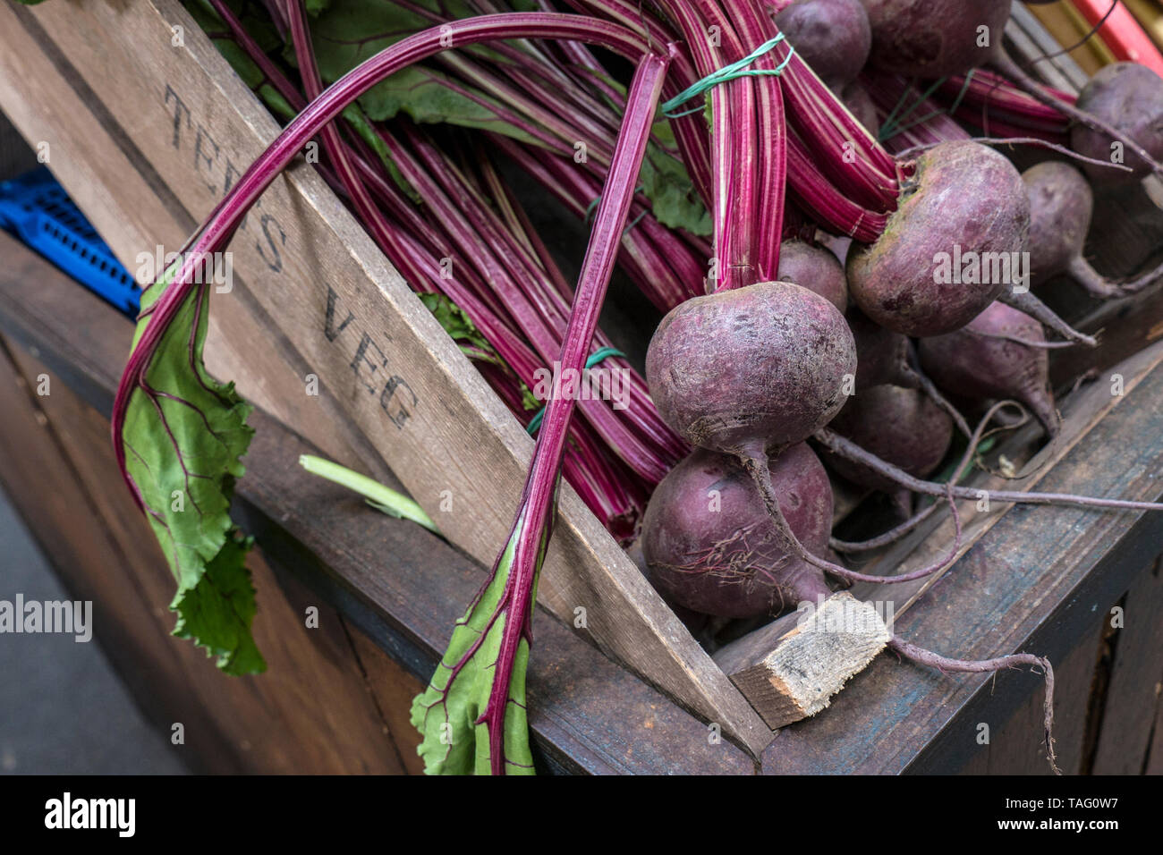 Borough Market rote Bete (Wetten vulgaris) auf Stiele im rustikalen "Holzkisten Ted's Veg' in Southwark Borough Market London UK angezeigt Stockfoto