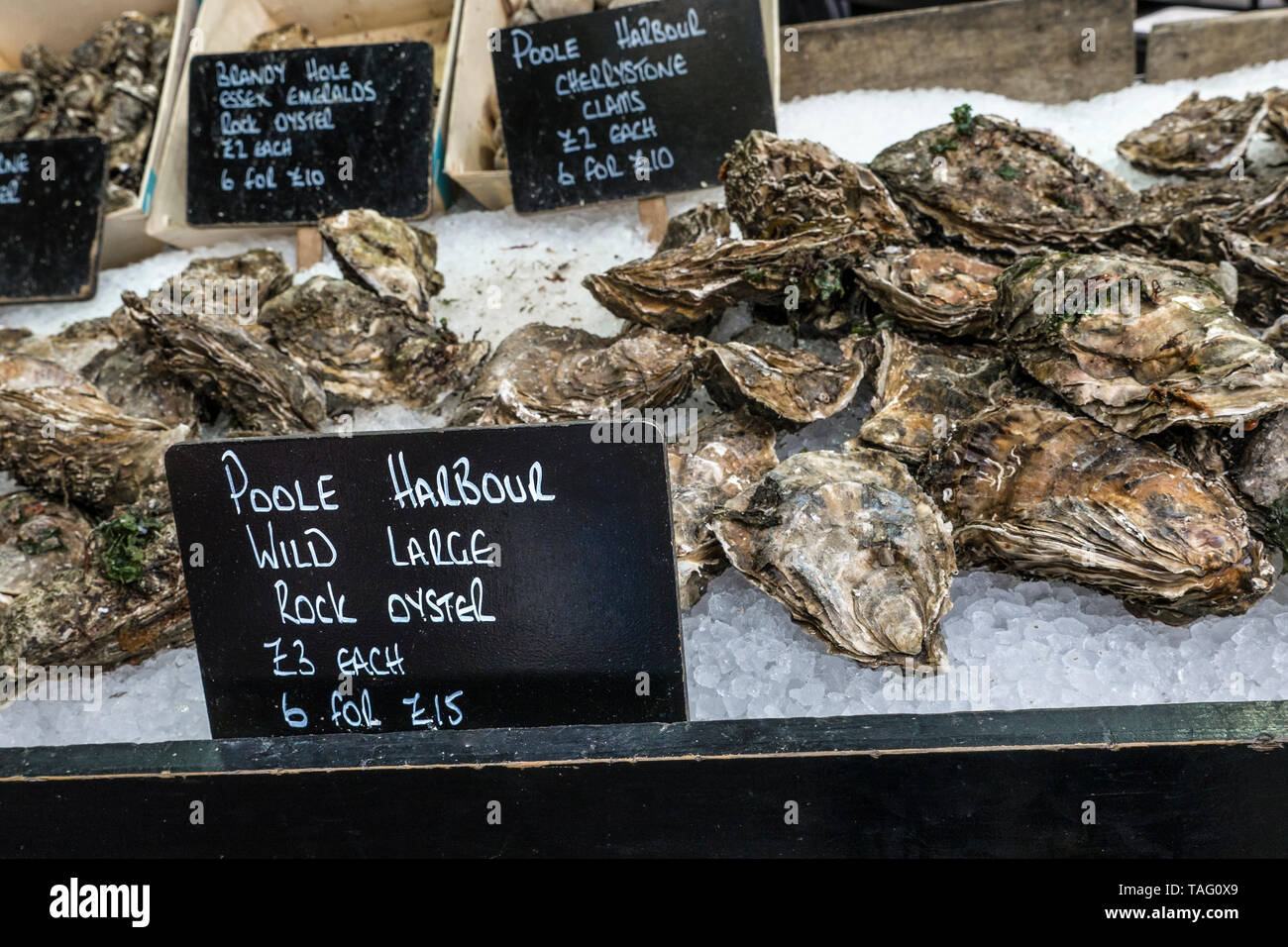 Rock Austern wilde Große aus Poole Dorset mit blackboard Preis Etiketten, in Eis am Borough Market London Markt produzieren, Southwark London UK Stockfoto