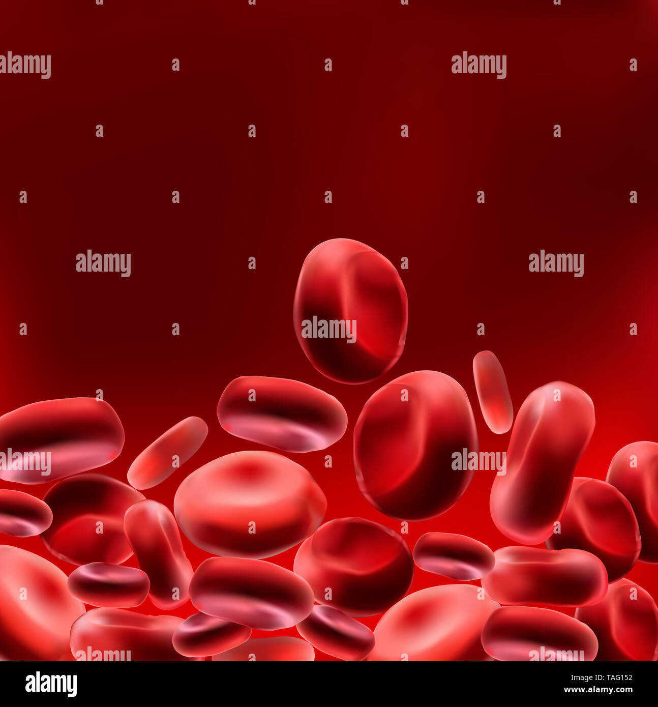 Rote Blutzellen als medizinische Illustration ist ein 3D-Bild und das Wort geschrieben wird. Stockfoto