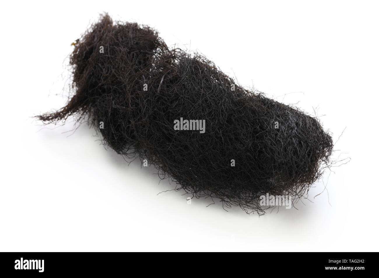Getrocknete schwarze Moss, fat Choy, chinesische Küche Zutat Stockfoto
