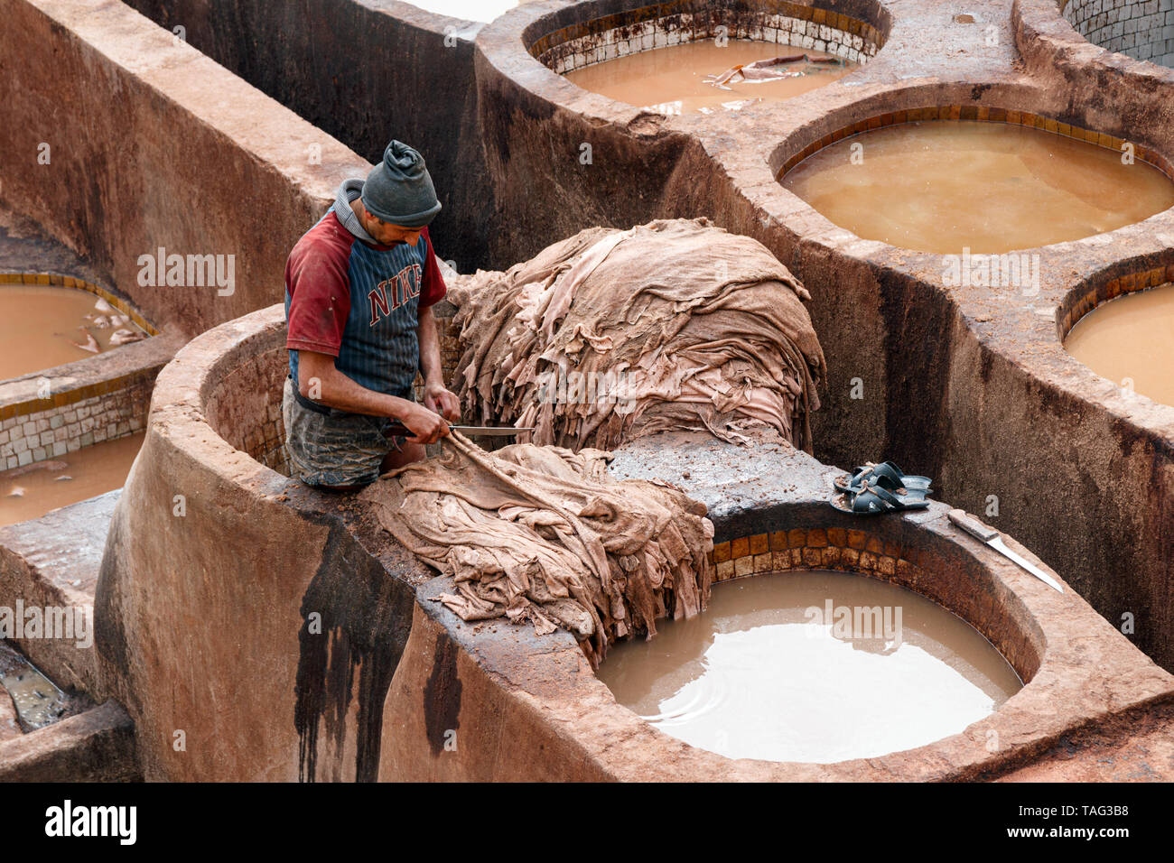 Arbeiter schneiden blendet für traditionelle Herstellung von Leder am Chouara Gerberei verwendet. Fez, Marokko. Stockfoto
