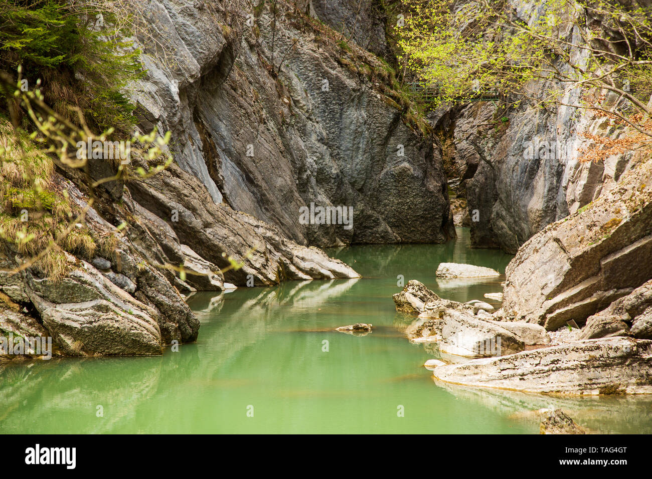 Gorges de la Jogne River Canyon in Broc, Schweiz Stockfoto