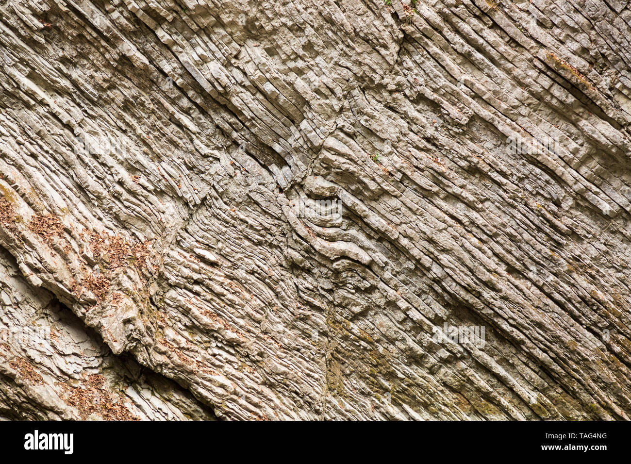 Interessante 2-in-1-geologischen Steinbildung in River Canyon Stockfoto