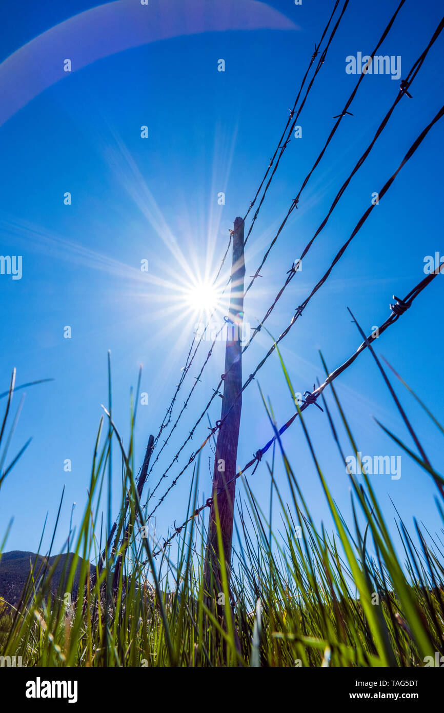 In der Nähe von Stacheldraht zaun & Holzzaun Beiträge gegen den klaren blauen Himmel; Ranch in Colorado, USA Stockfoto