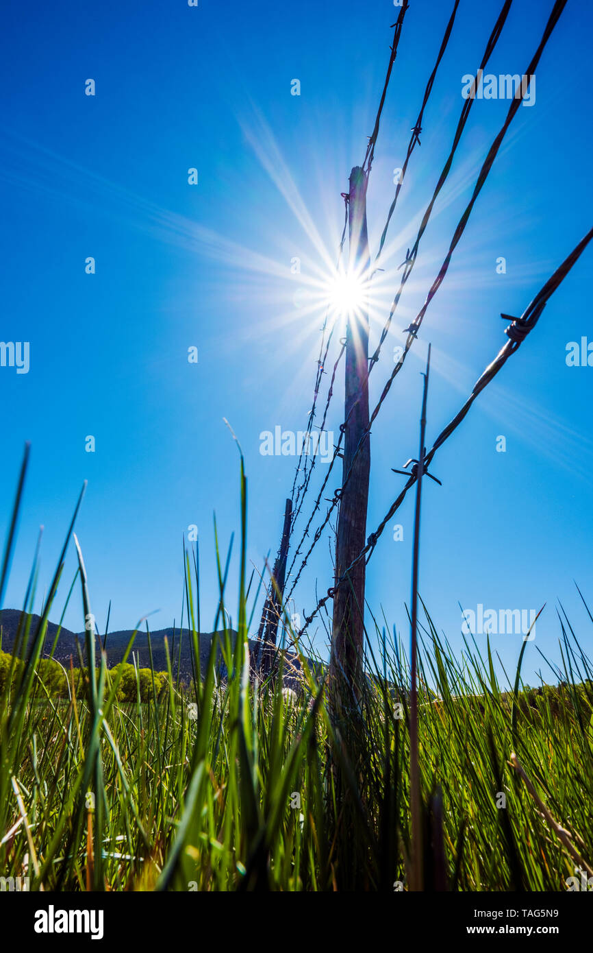 In der Nähe von Stacheldraht zaun & Holzzaun Beiträge gegen den klaren blauen Himmel; Ranch in Colorado, USA Stockfoto