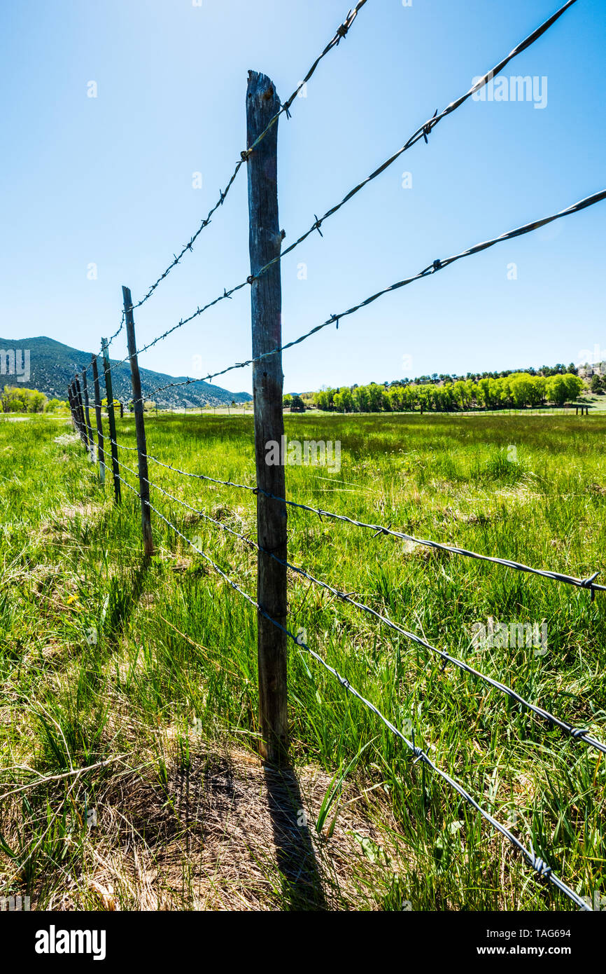 In der Nähe von Stacheldraht zaun & Holzzaun Beiträge gegen den klaren blauen Himmel; Ranch in Colorado, USA Stockfoto
