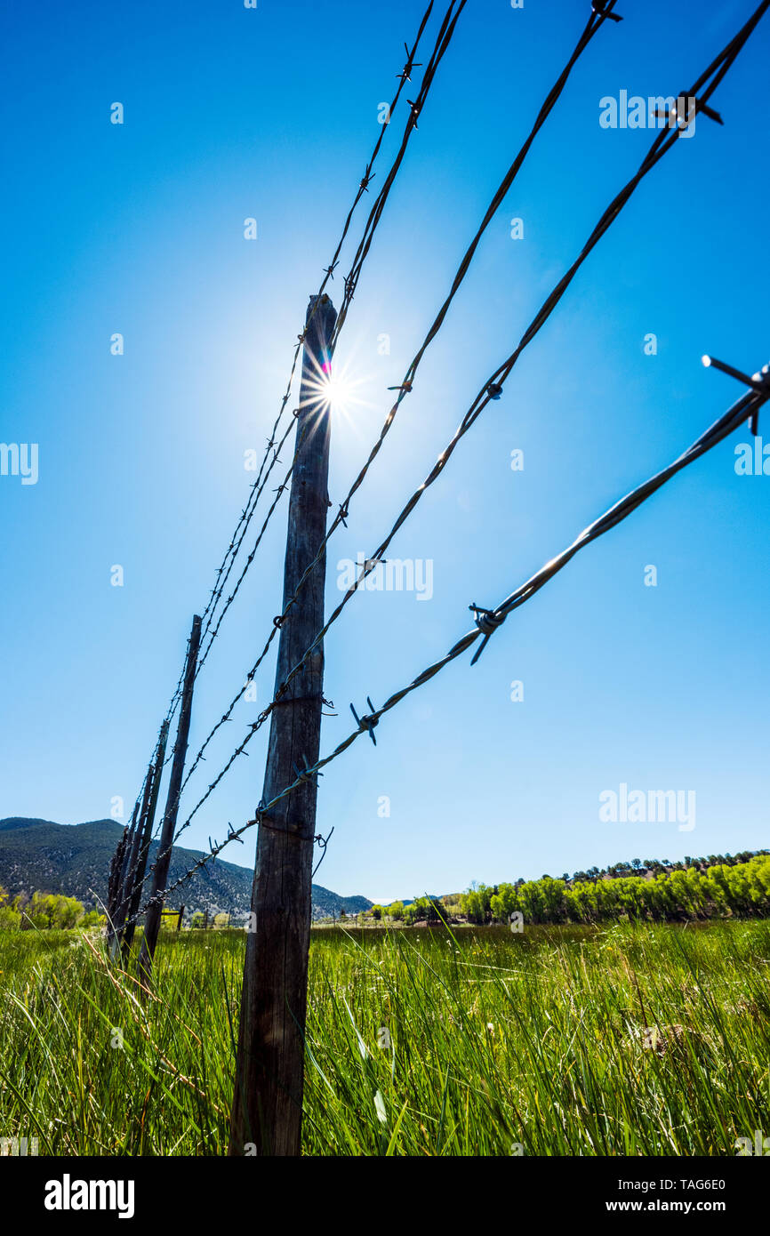 In der Nähe von Stacheldraht zaun & Holzzaun Beiträge gegen den klaren blauen Himmel; Ranch in Colorado, USA Stockfoto