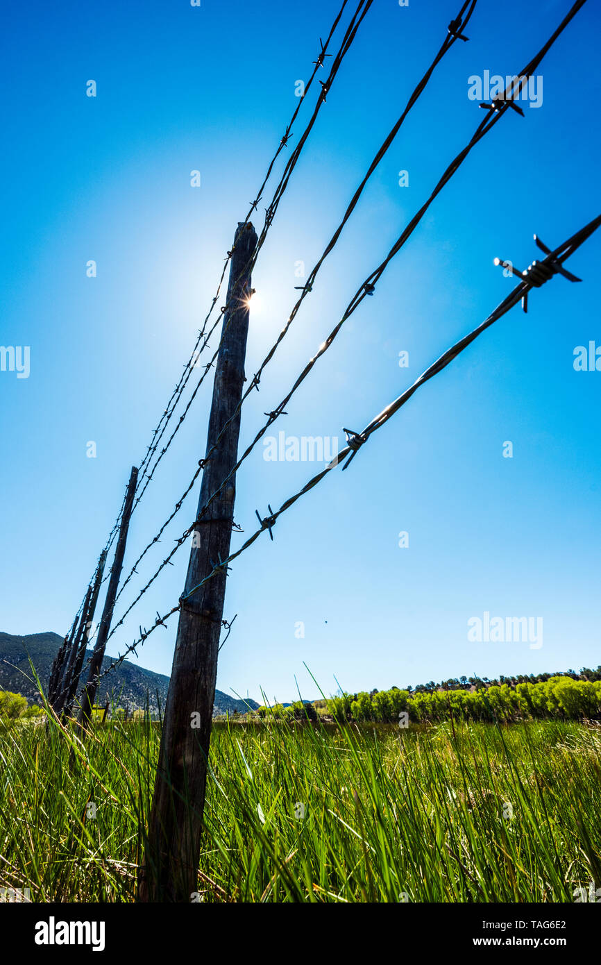 In der Nähe von Stacheldraht zaun & Holzzaun Beiträge gegen den klaren blauen Himmel; Ranch in Colorado, USA Stockfoto