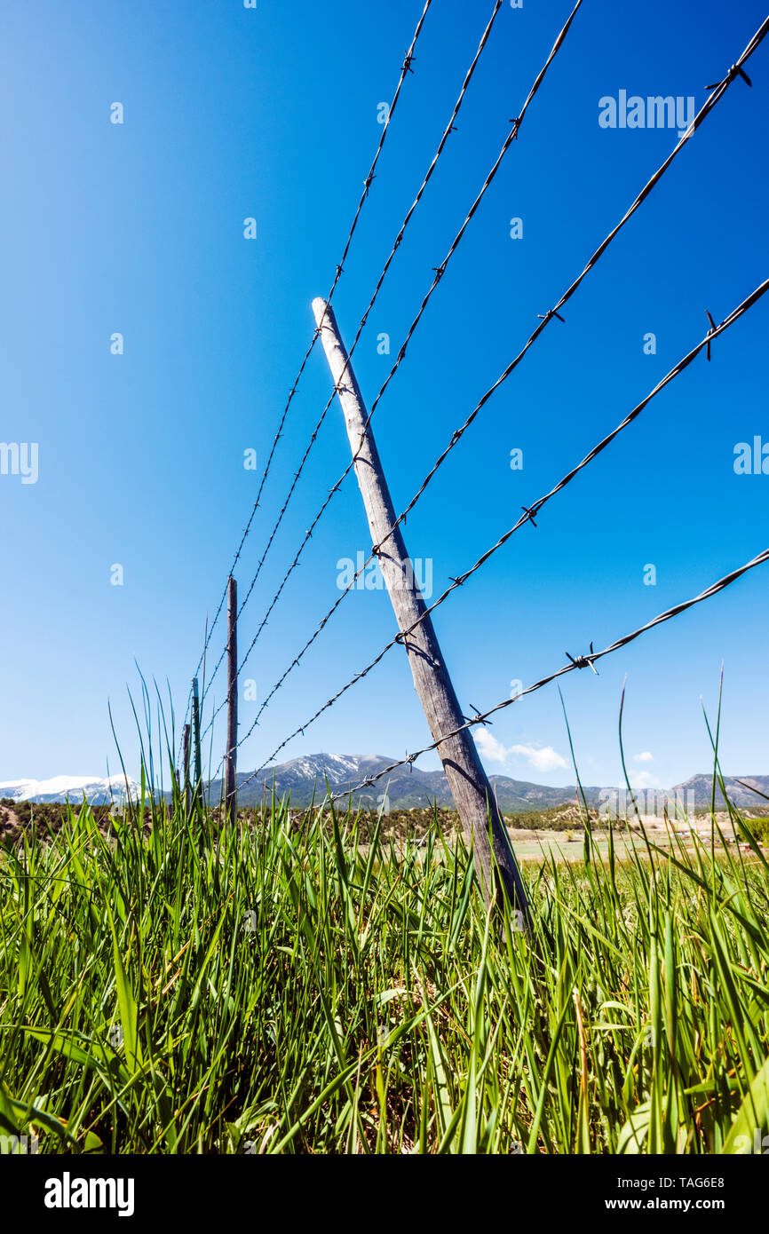In der Nähe von Stacheldraht zaun & Holzzaun Beiträge gegen den klaren blauen Himmel; Ranch in Colorado, USA Stockfoto