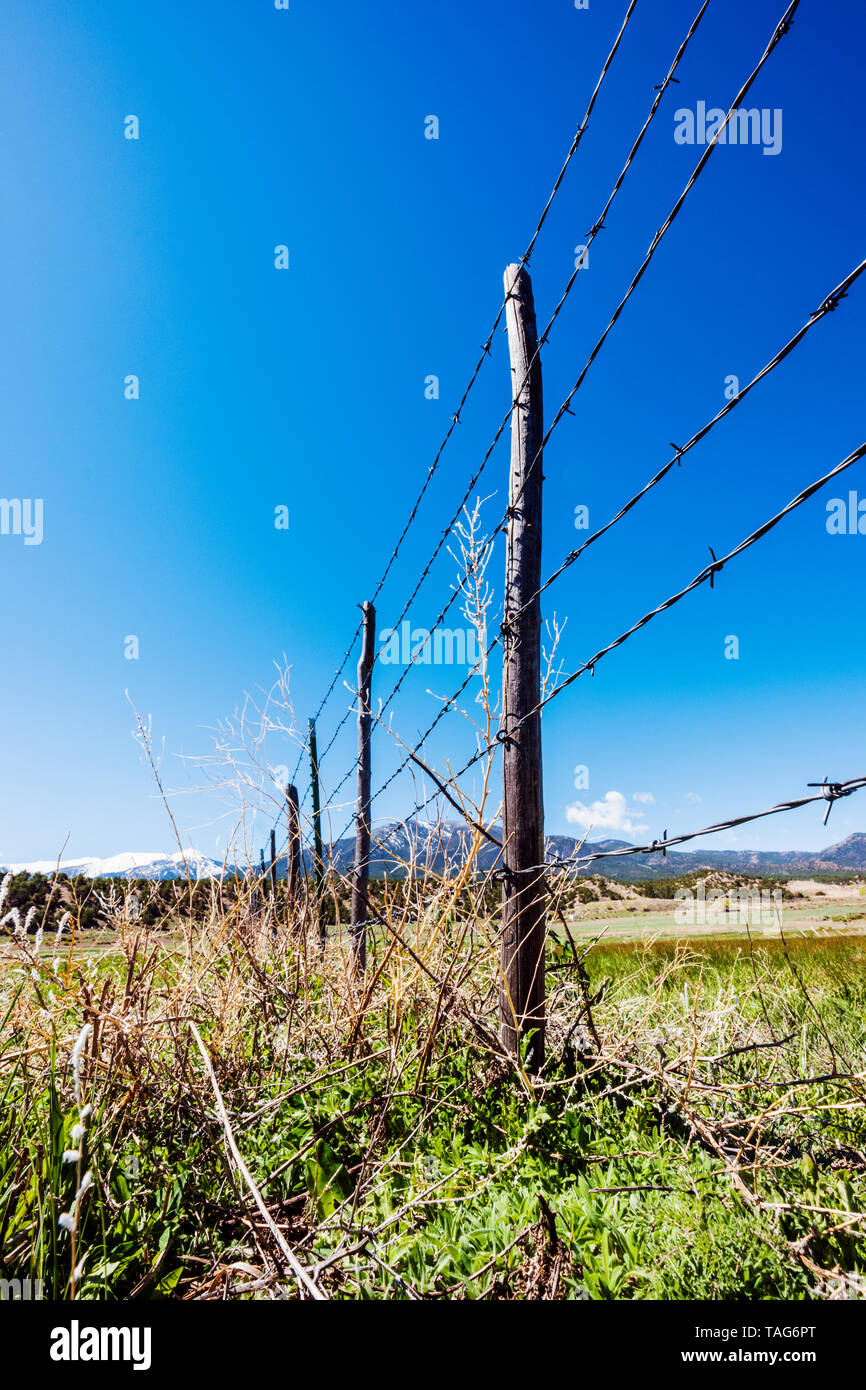 In der Nähe von Stacheldraht zaun & Holzzaun Beiträge gegen den klaren blauen Himmel; Ranch in Colorado, USA Stockfoto