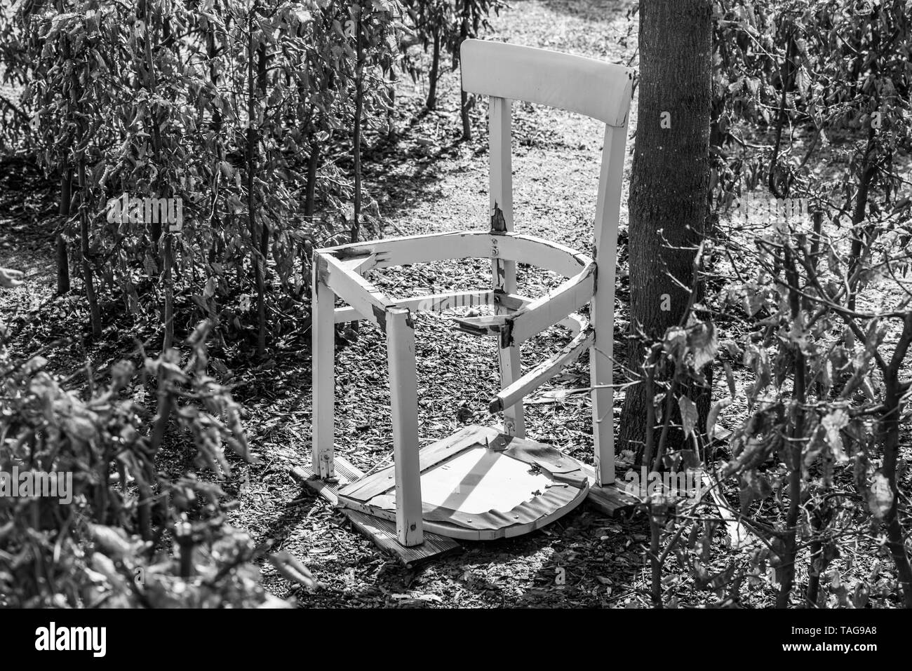 Schwarz Weiß Bild eines gebrochenen weiß Stuhl in einem Garten Labyrinth, Deutschland Stockfoto