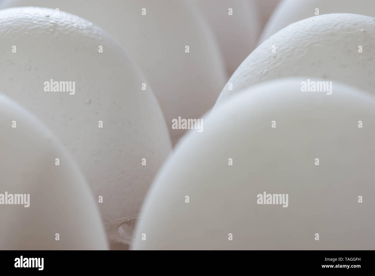 Haufen weiße Eier in einem transparenten Fach aus dem Supermarkt. Nahaufnahme. Stockfoto