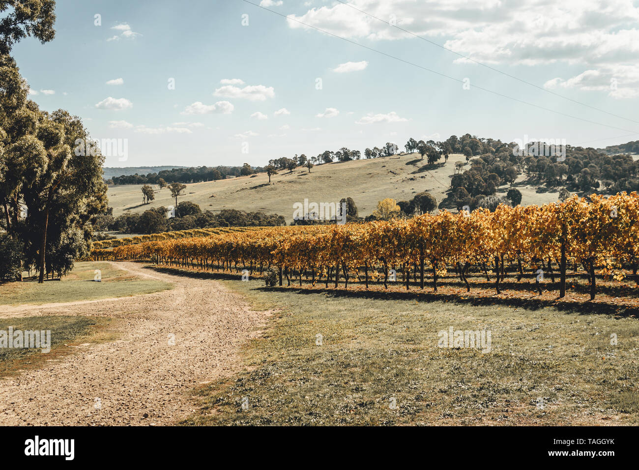 Malerische Landschaft bei Courabyra australische Weine, Tumbarumba NSW Stockfoto