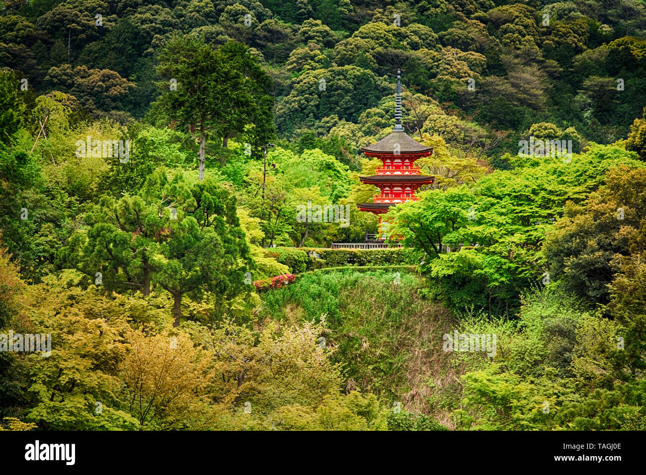 Asien, Japan, Insel Honshu, Präfektur Kyoto (京都府, Kyōto-fu), Kyoto City, Mt. Otowa, Kiyomizu-dera Buddhistischer Tempel (778) Stockfoto