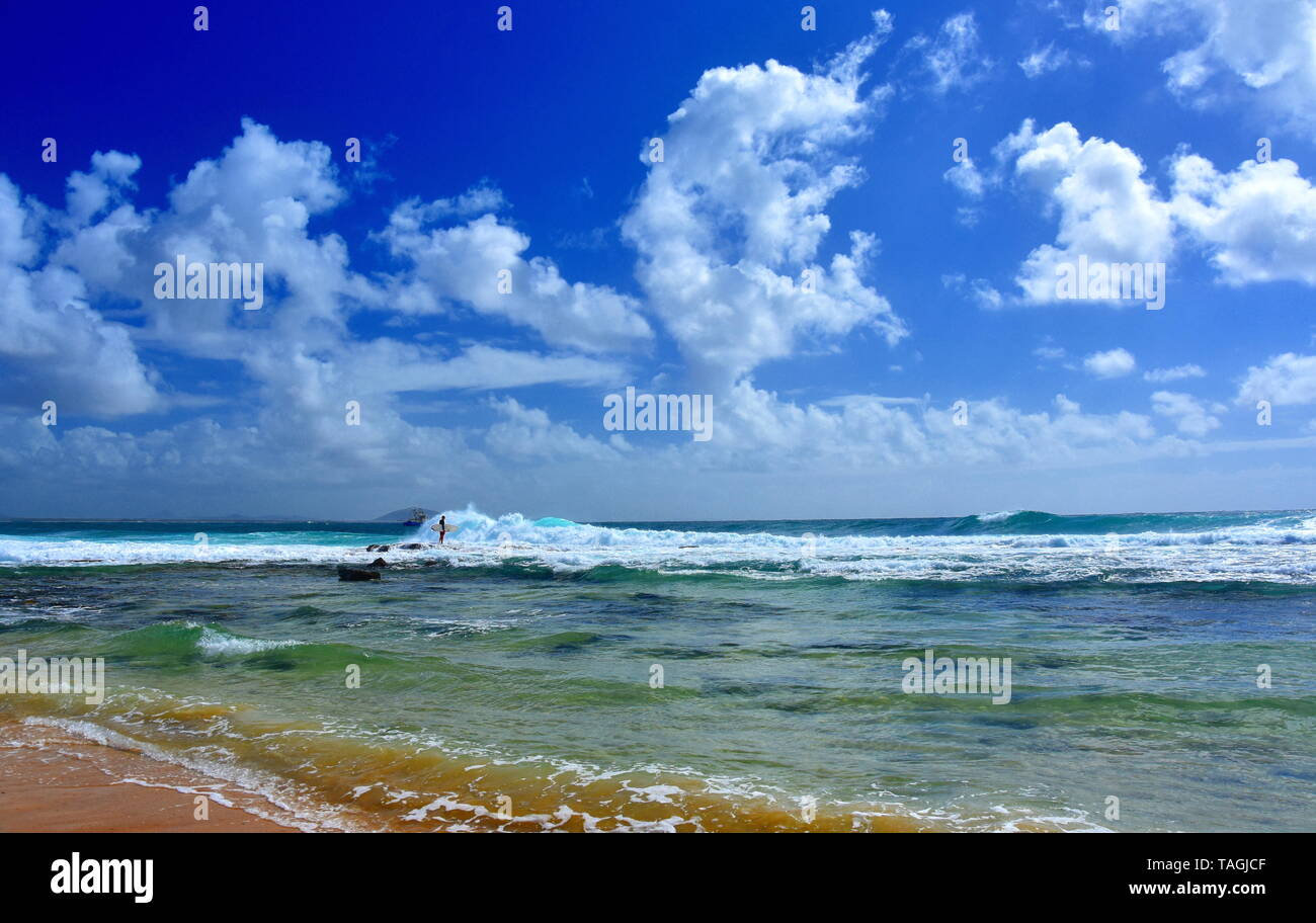 Ein surfer Guy warten auf große Wellen, surboard in seiner Hand. Schönes Wetter am Strand entlang Buddina Pacific Boulevard (Sunshine Coast, Queensland, Aust Stockfoto