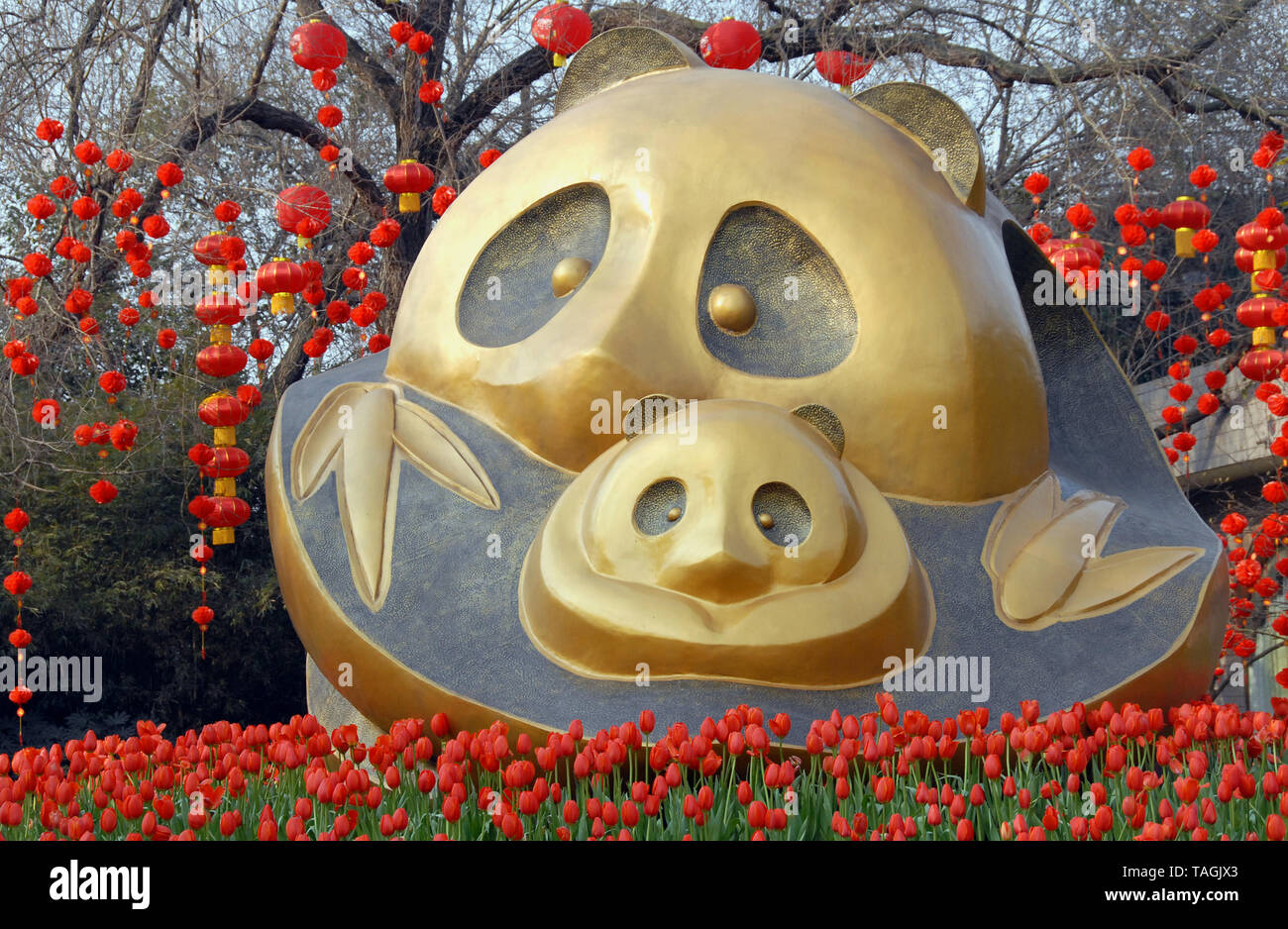 Statue oder Skulptur eines Panda und Cub am Eingang von Chengdu Panda Finden (Chengdu Panda Forschungs- und Aufzuchtstation) in Sichuan, China. Stockfoto