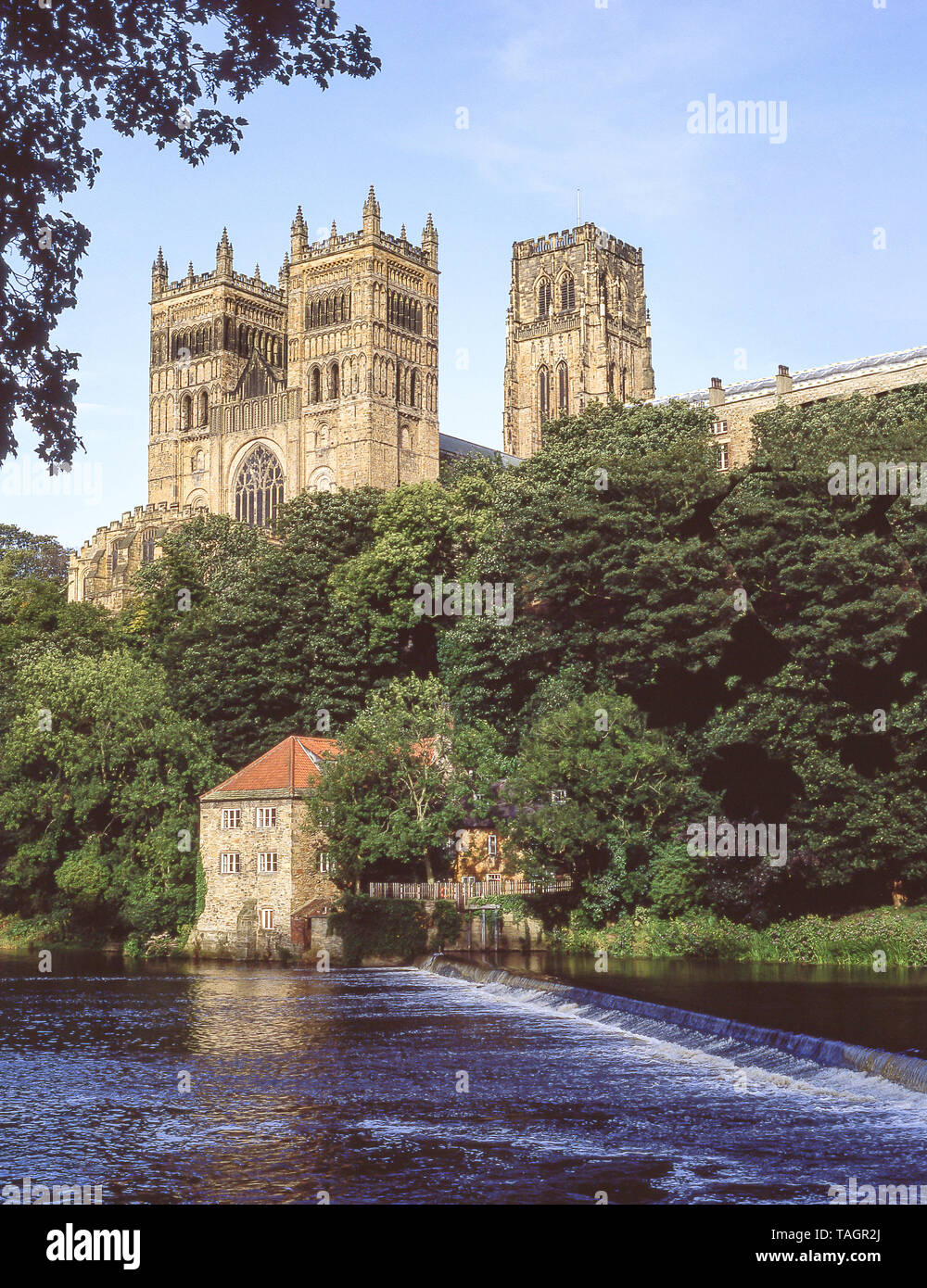 Durham Cathedral über Fluss Wear, Durham, County Durham, England, Vereinigtes Königreich Stockfoto