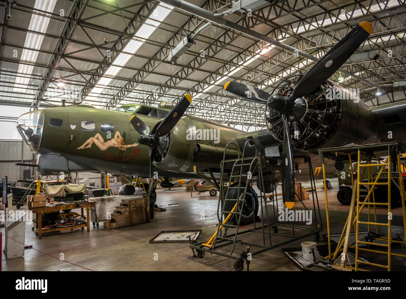 Boeing B-17 Flying Fortress USAF schwerer Bomber im Imperial War Museum, Duxford, Cambridgeshire, Großbritannien Stockfoto