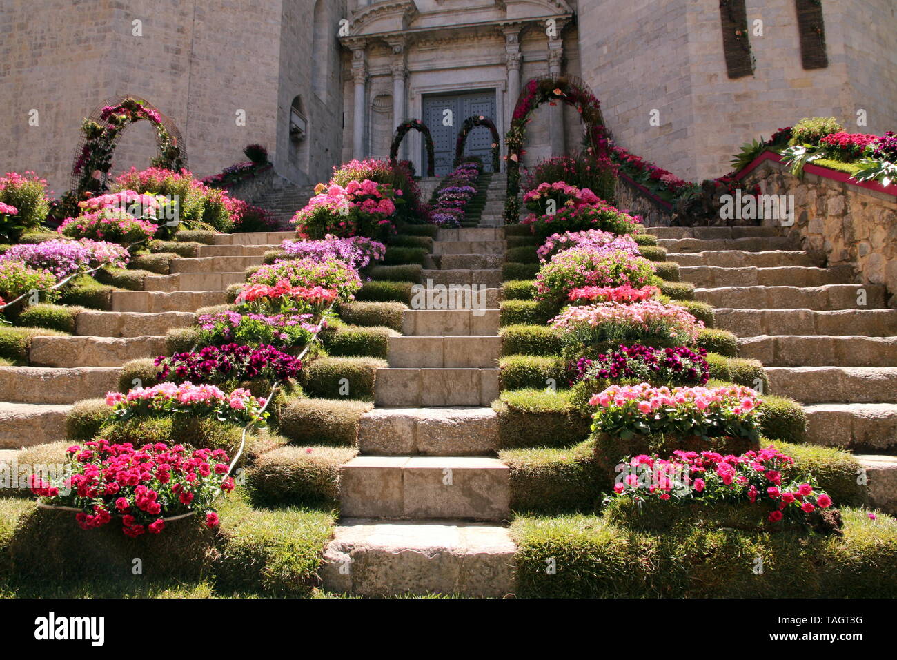 Die Blüten sind auf den Stufen der Kathedrale. Stockfoto