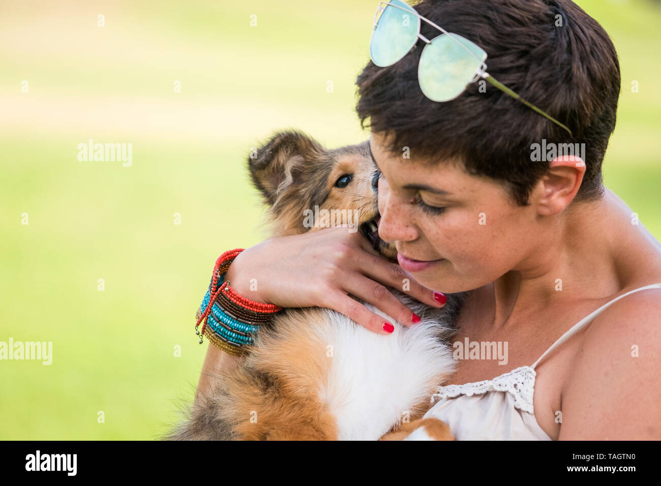 Junge hübsche Dame Hug schön Schöne pet Shetland Welpe Hund mit Liebe und Freundschaft - bester Freund und den Schutz von Menschen und Tieren - gr Stockfoto