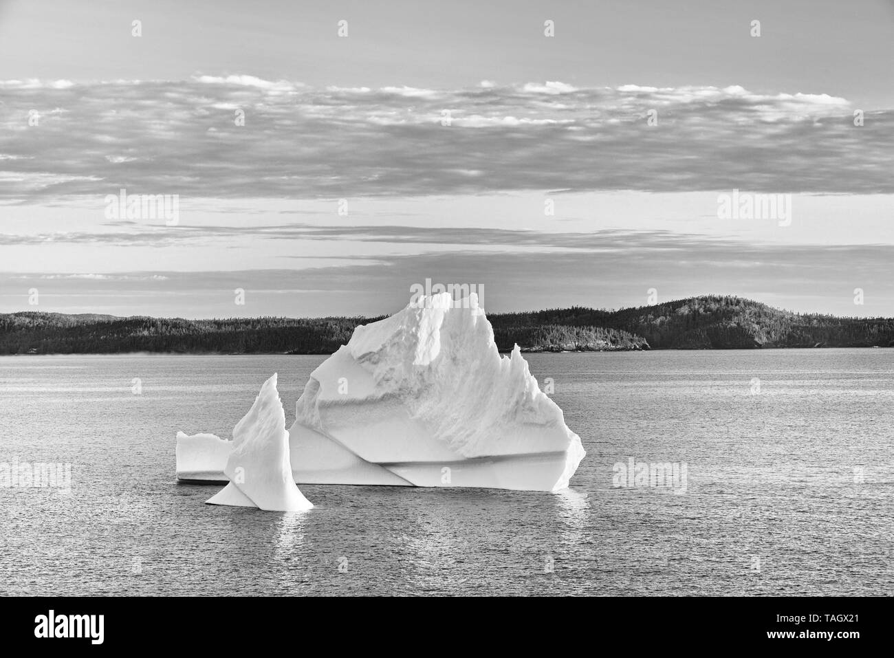 Eisberge in Bergungsverpackungen Bucht des Atlantischen Ozeans Eastport Eastport Neufundland und Labrador Kanada Neufundland und Labrador Kanada Stockfoto