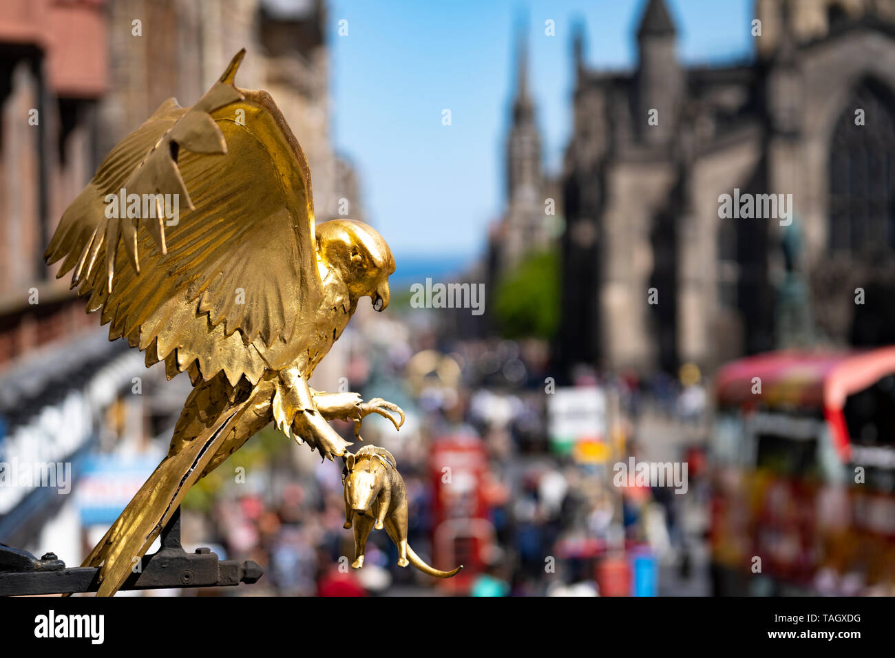 Detail der goldene Vogel außerhalb Gladstone's Land historische Gebäude auf der Royal Mile in Lawnmarket in Altstadt von Edinburgh, Schottland, Großbritannien Stockfoto