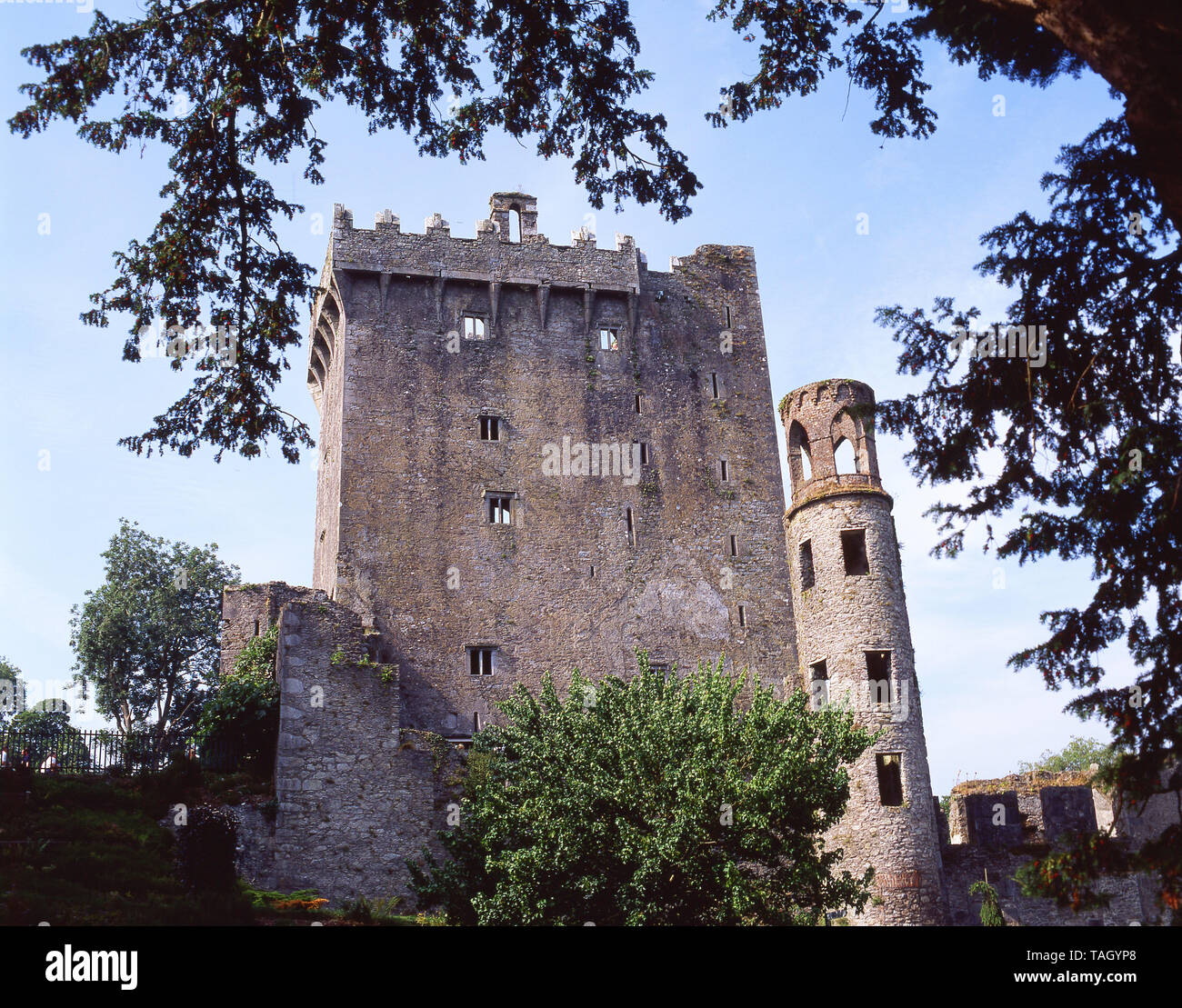 Schloss halten und Tower, Blarney Castle, Blarney, County Cork, Republik von Irland Stockfoto