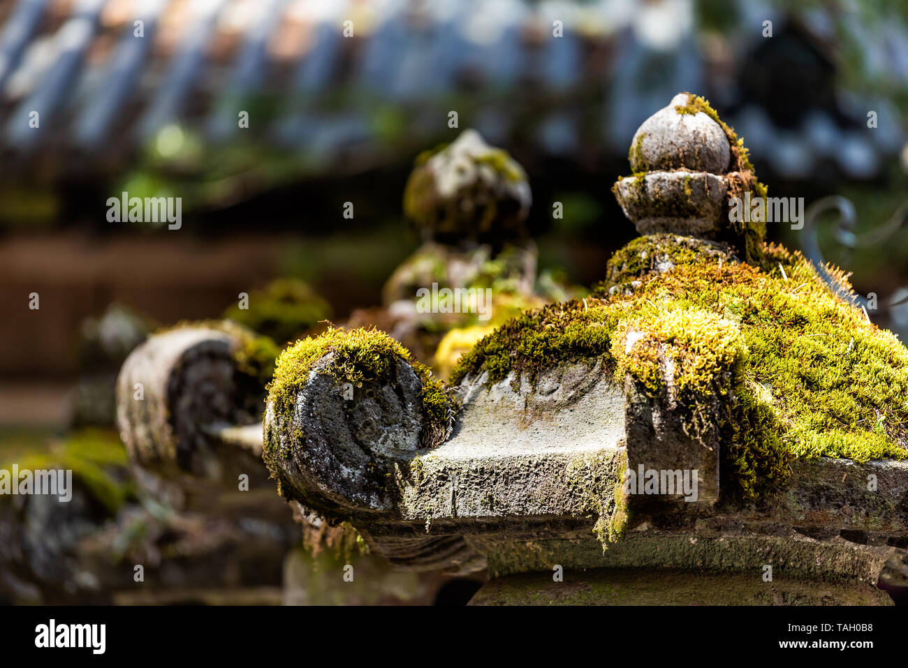 Nikko, Japan Toshogu Tempel in Tochigi im Frühjahr mit steinlaternen closeup und Moos mit bokeh Hintergrund des Dachs Stockfoto