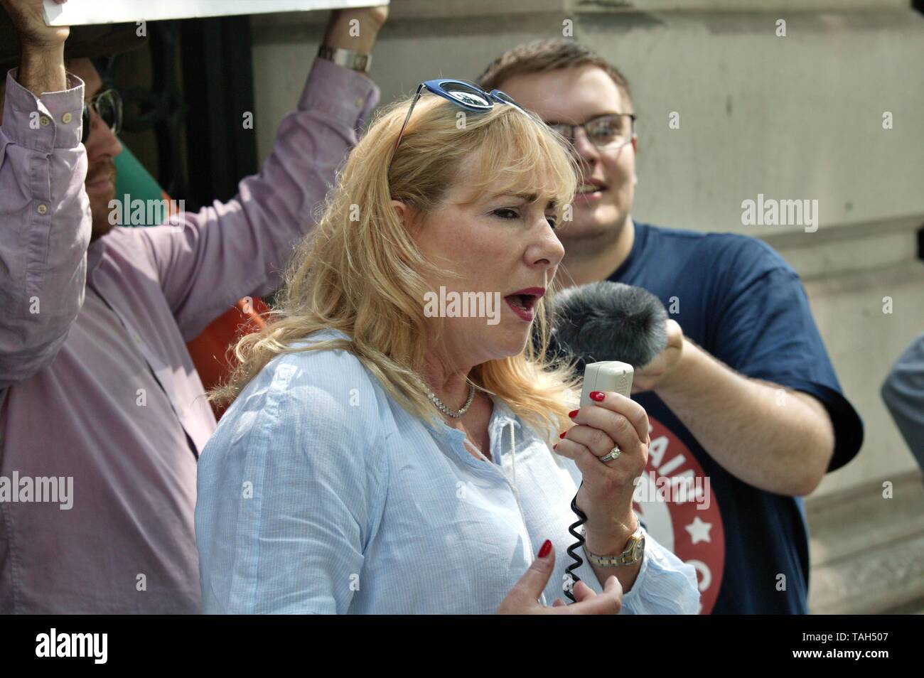 Janice Atkinson UKIP MDEP Stockfoto