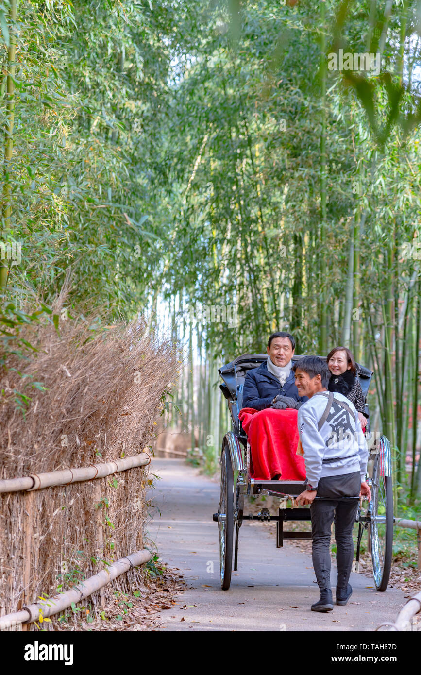Zog Rikscha reiten Touristen durch einen Bambuswald Pfad in Arashiyama, Kyoto, Japan Stockfoto