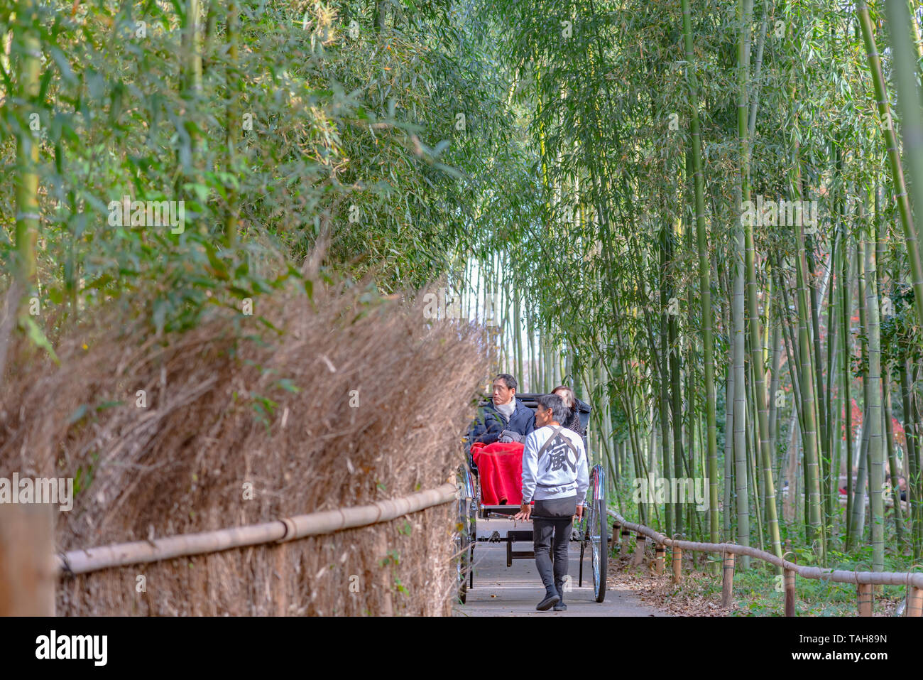 Zog Rikscha reiten Touristen durch einen Bambuswald Pfad in Arashiyama, Kyoto, Japan Stockfoto