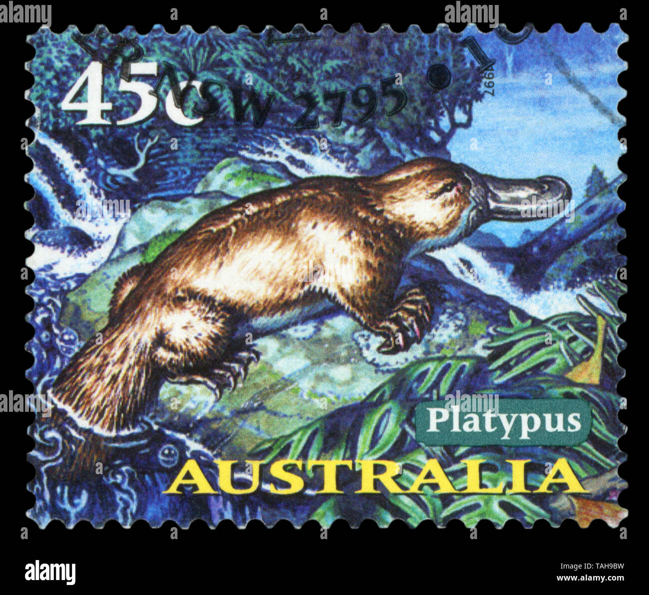 Australien - ca. 1997: einen Stempel in Australien gedruckten zeigt das Schnabeltier, Tiere Serie, ca. 1997. Stockfoto