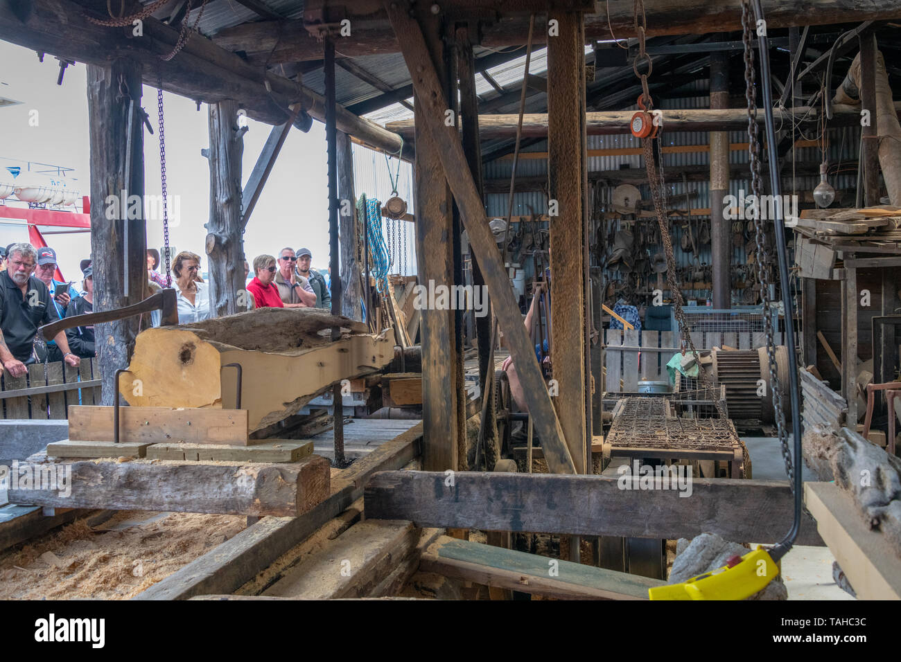 Traditionelle Sägewerk Schneiden Huon Pine, Hobart, Tasmanien Stockfoto