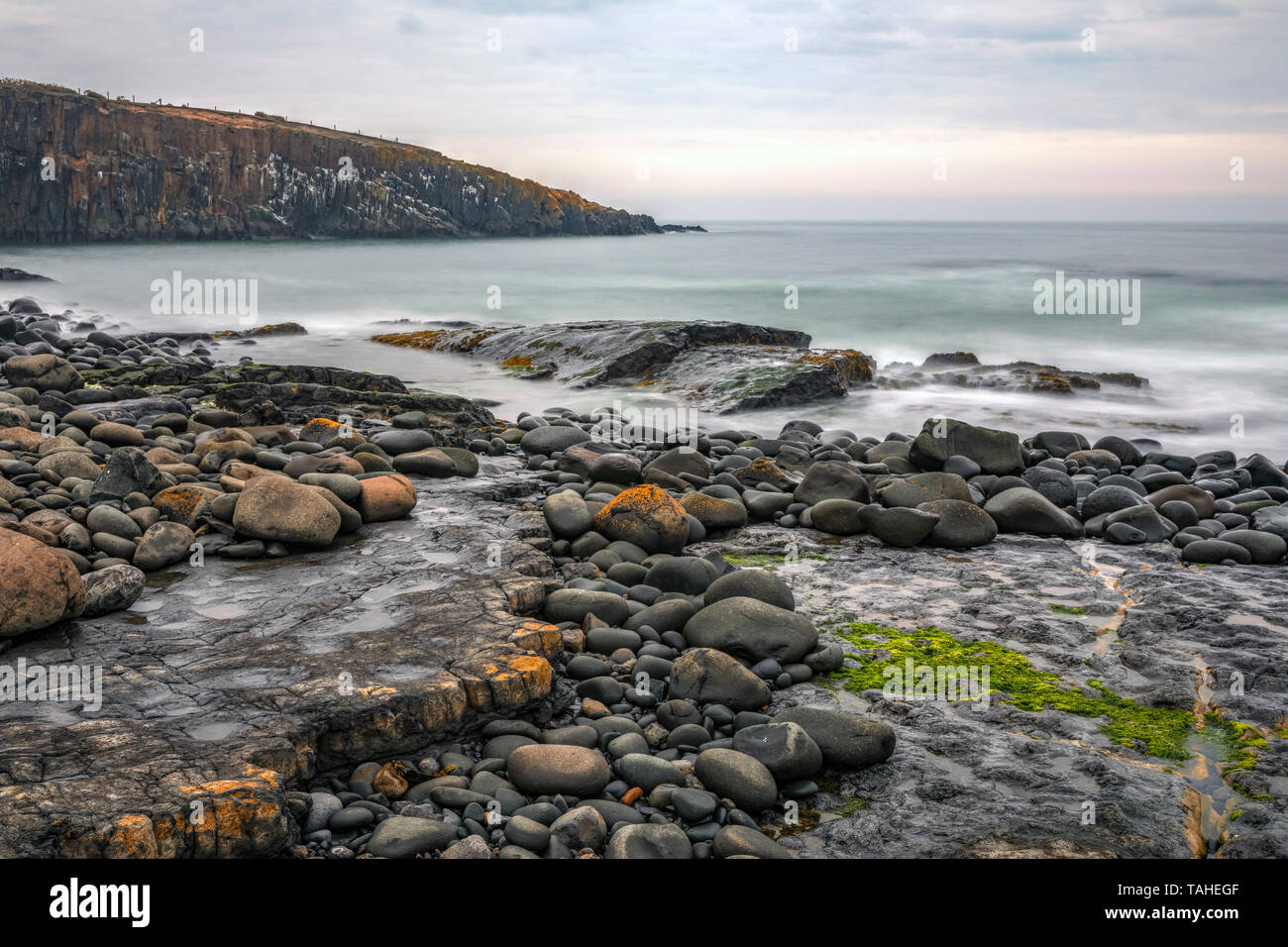 Craster, Northumberland, England, UK, Europa Stockfoto