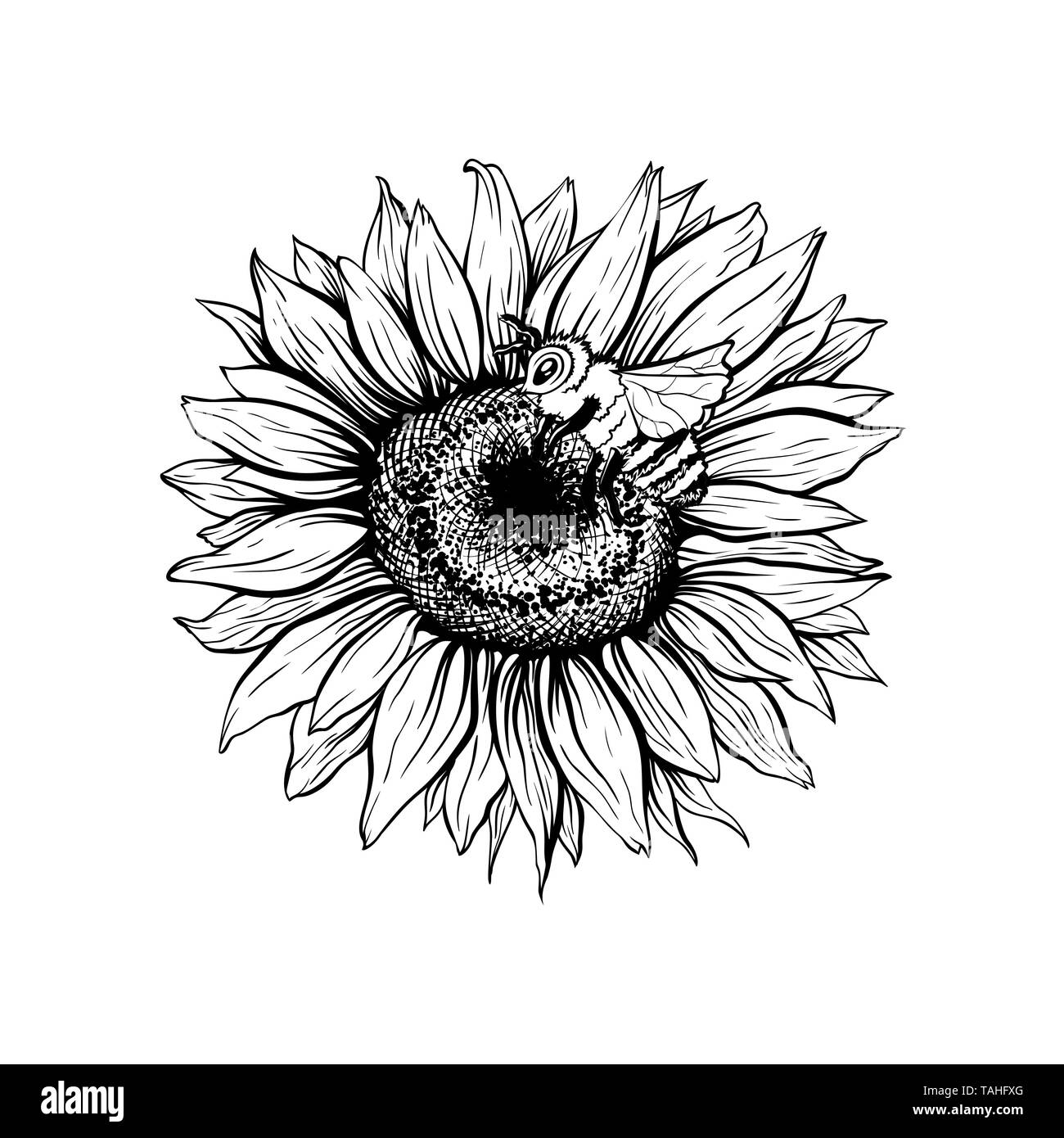 Honig Biene Auf Blume Hand Gezeichnet Vector Illustration Florale Tuschezeichnung Sonnenblume 