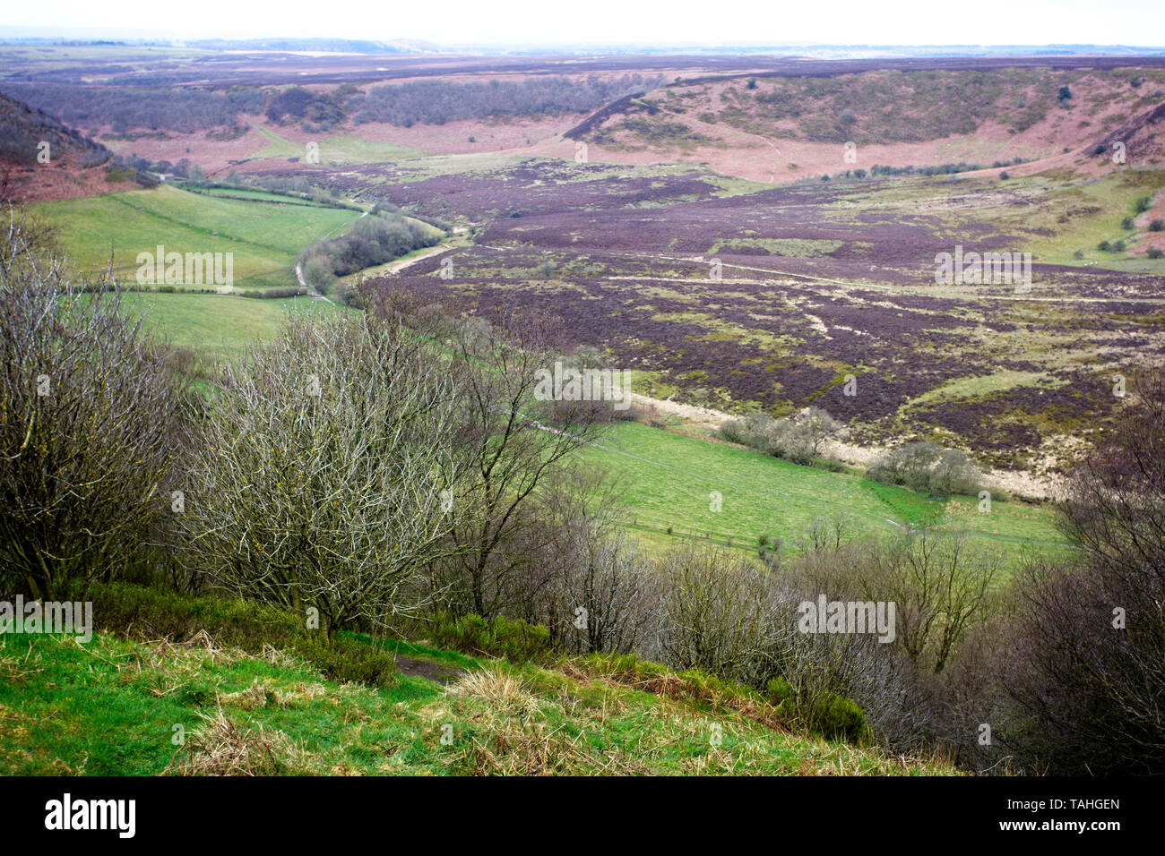 Die Bohrung des Horcum aus Saltergate Bank im Winter, North York Moors National Park, Yorkshire, England, UK. Stockfoto